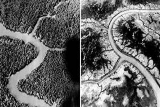 Chất da cam/dioxin - di chứng dai dẳng, phóng sự điều tra của Chicago Tribune (Phần 5)